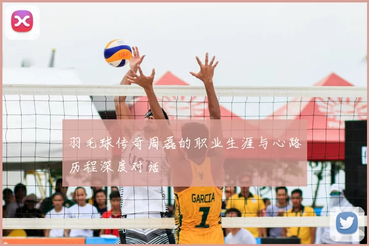 羽毛球传奇周磊的职业生涯与心路历程深度对话