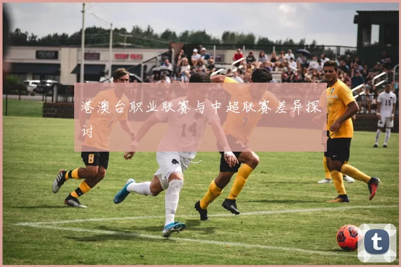 港澳台职业联赛与中超联赛差异探讨