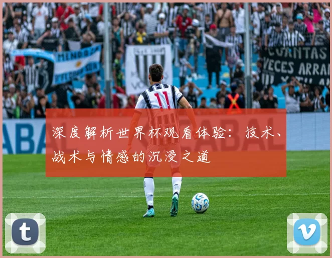 深度解析世界杯观看体验:技术、战术与情感的沉浸之道