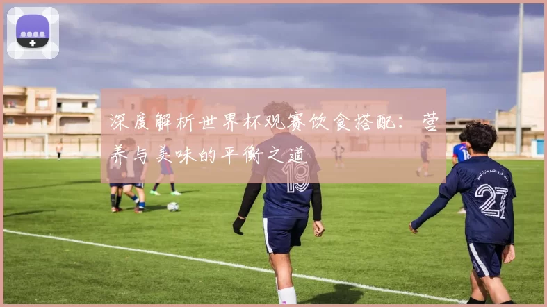 深度解析世界杯观赛饮食搭配：营养与美味的平衡之道