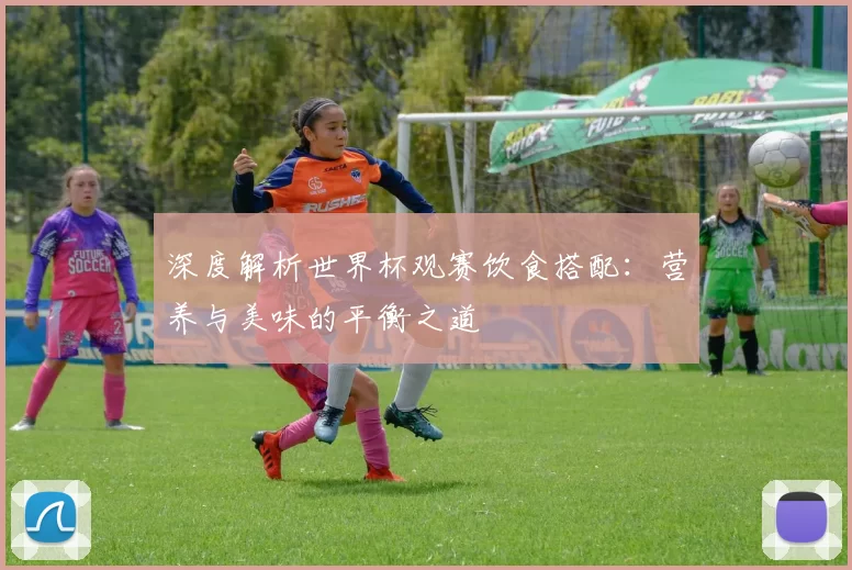 深度解析世界杯观赛饮食搭配：营养与美味的平衡之道