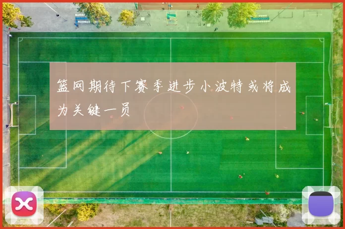 篮网期待下赛季进步小波特或将成为关键一员