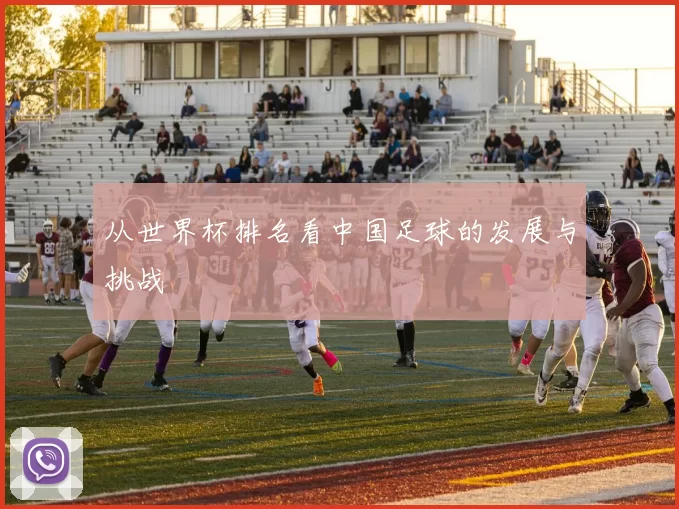 从世界杯排名看中国足球的发展与挑战