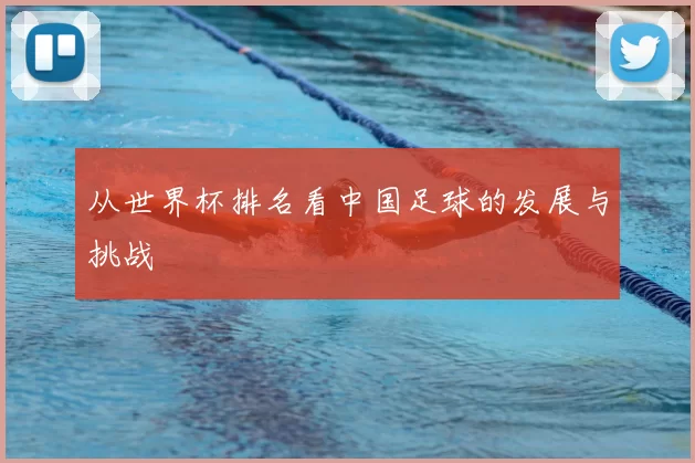 从世界杯排名看中国足球的发展与挑战