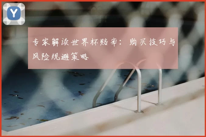 专家解读世界杯赔率:购买技巧与风险规避策略