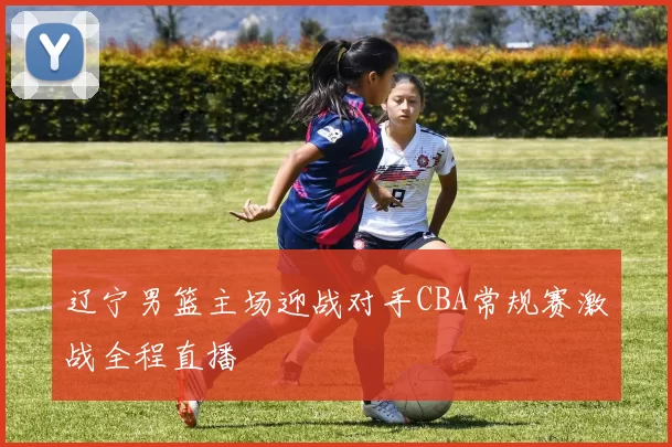 辽宁男篮主场迎战对手CBA常规赛激战全程直播