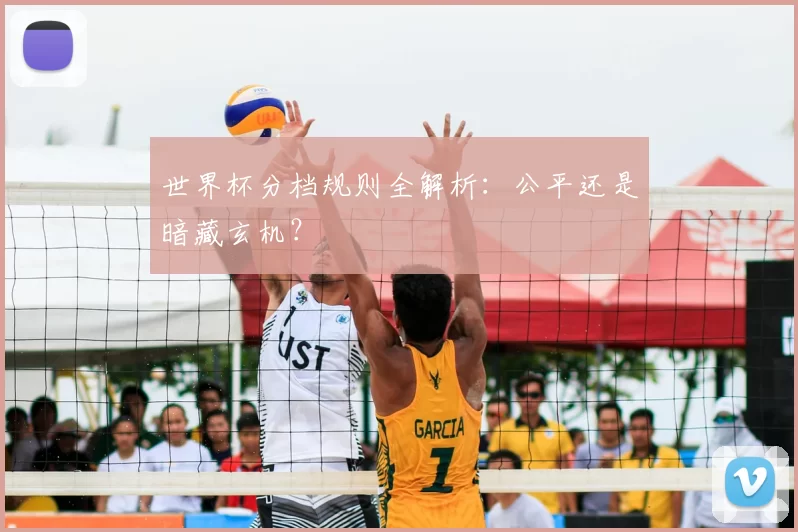 世界杯分档规则全解析：公平还是暗藏玄机？