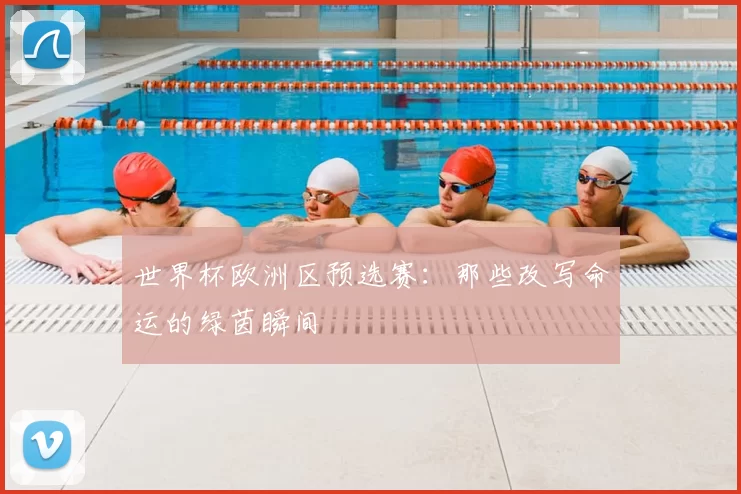世界杯欧洲区预选赛:那些改写命运的绿茵瞬间