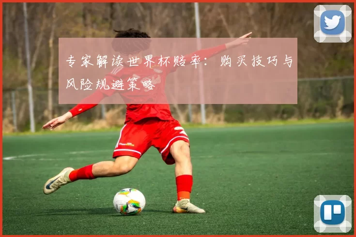 专家解读世界杯赔率：购买技巧与风险规避策略