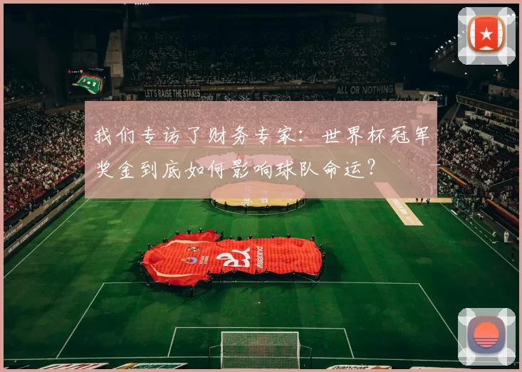 我们专访了财务专家:世界杯冠军奖金到底如何影响球队命运?
