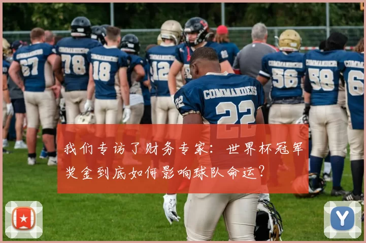 我们专访了财务专家:世界杯冠军奖金到底如何影响球队命运?