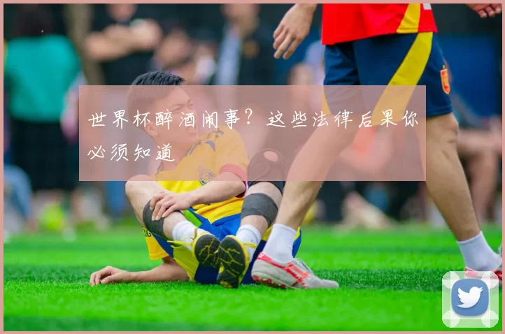 世界杯醉酒闹事?这些法律后果你必须知道