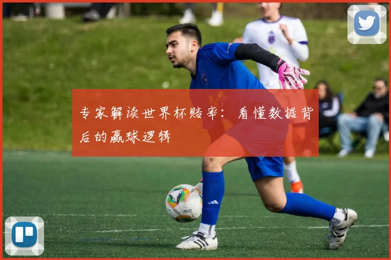 专家解读世界杯赔率：看懂数据背后的赢球逻辑
