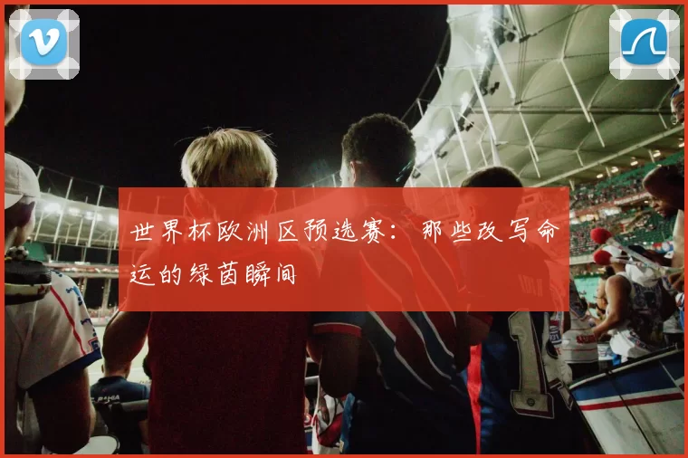 世界杯欧洲区预选赛：那些改写命运的绿茵瞬间